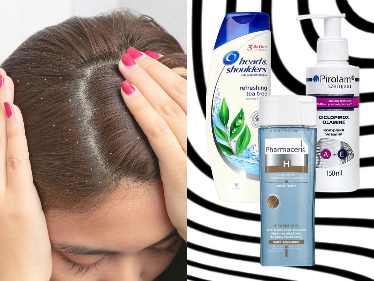 szampon przeciwzapalne na suchy lupiez
