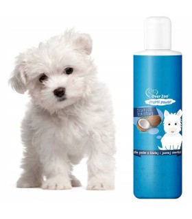 szampon do białych włosów psy